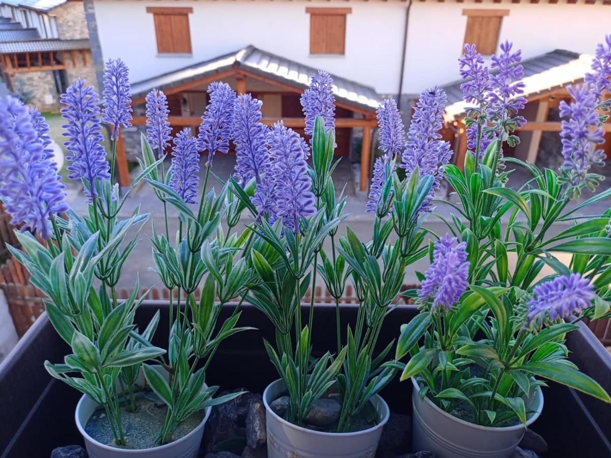 Pico La Selva Apartman Villanúa Kültér fotó